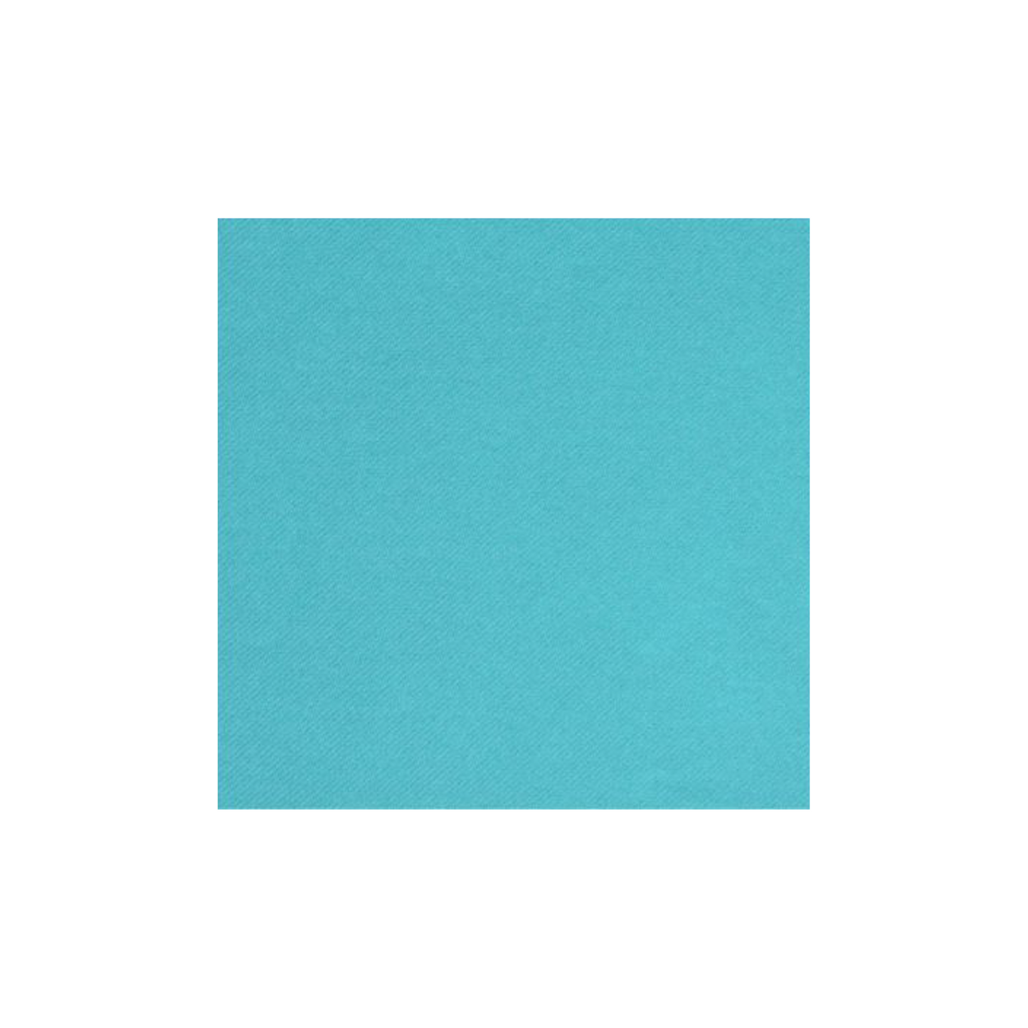 Serviette de Table Couleur en Non-Tissé
